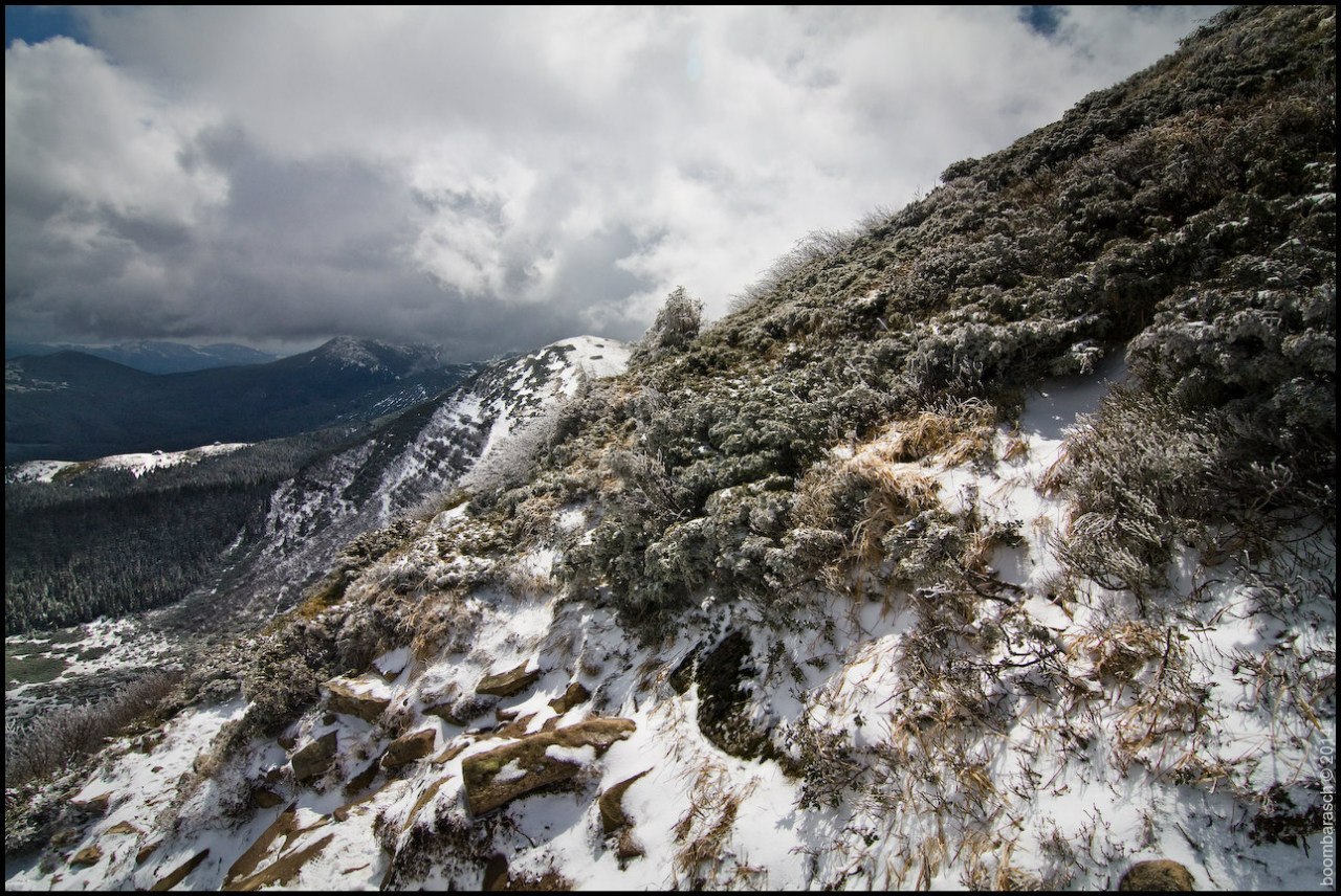 Карпаты, Черногорский хребет - 5