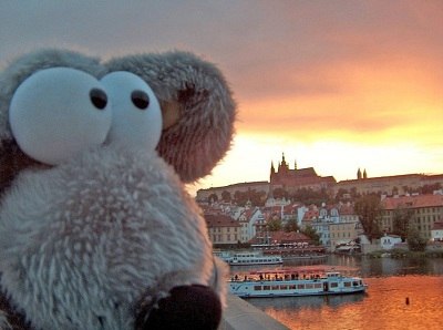 This awkward moment when toys rest better than you. - 6