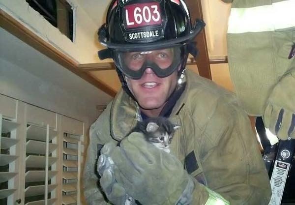 Спасённые котики - 5