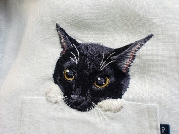 Дресс-кот - 6