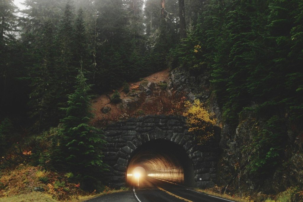 Rainier National Park, United States of America