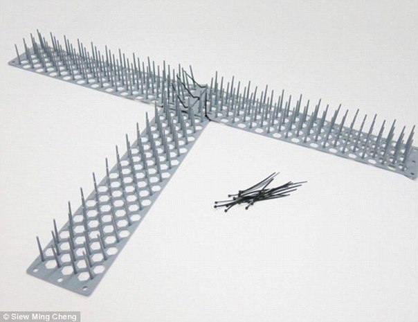 Гаджет для комфортной езды в метро . Дизайнеру из Сингапура Siew Ming Chen надоело, что её постоянно толкают и зажимают в метро, что она решила создать уникальный гаджет, который поможет решить эту проблему. <br>Жилет, оснащенный длинными пластиковыми шип