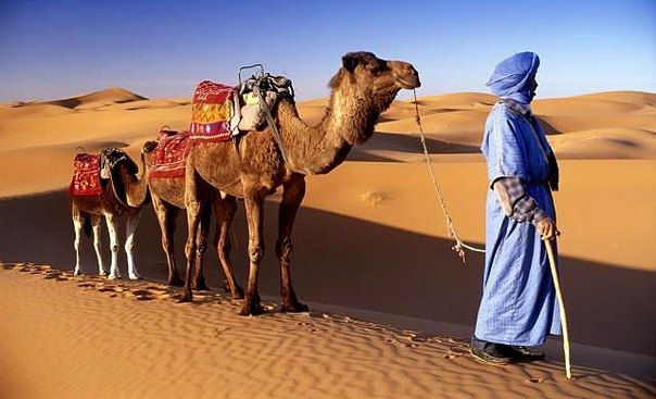 [club36243788|Горящие туры! Лучшие цены от операторов.]<br>Турция- 7 ночей, 18 744 руб/чел.<br>Кипр - 7 ночей, 16 700 руб/чел.<br>Тунис - 7 ночей, 16 600 руб/чел.<br>Греция - 3 ночи, 8 300 руб/чел.<br>Египет- 7 ночей, 20 700 руб/чел.<br>[club36243788|Смот - 8