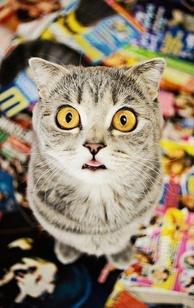 Вот это глаза