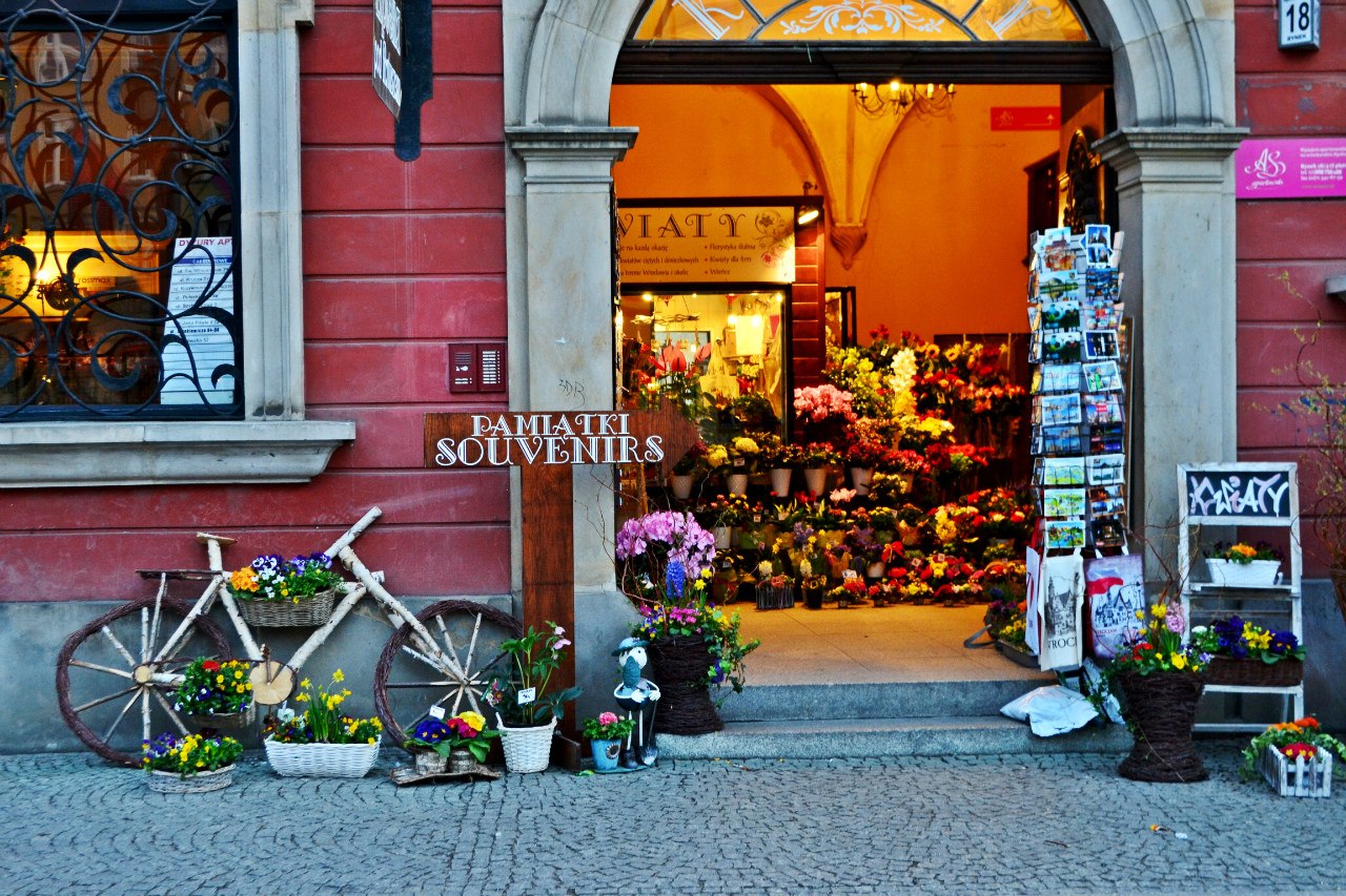 Варшава и Вроцлав. Польша - 9