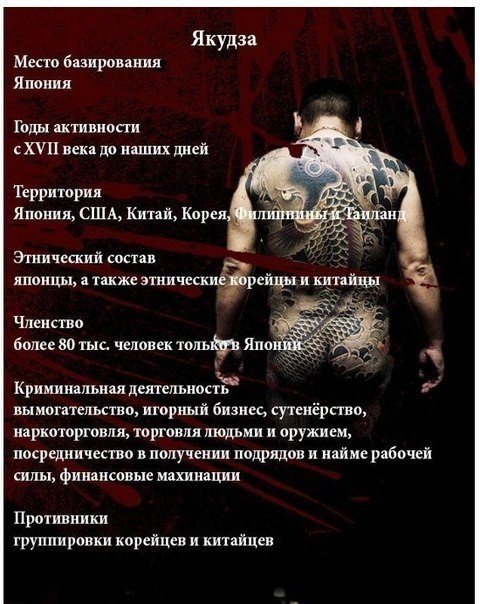 Банда Якудза. Немного интересной информации о японской мафии, более известной как якудза