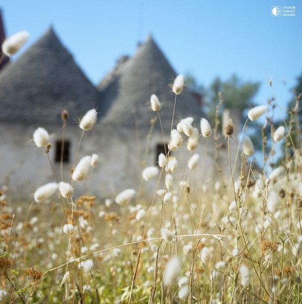 Альберобелло - коммуна в провинции Бари региона Апулия в Италии - 8