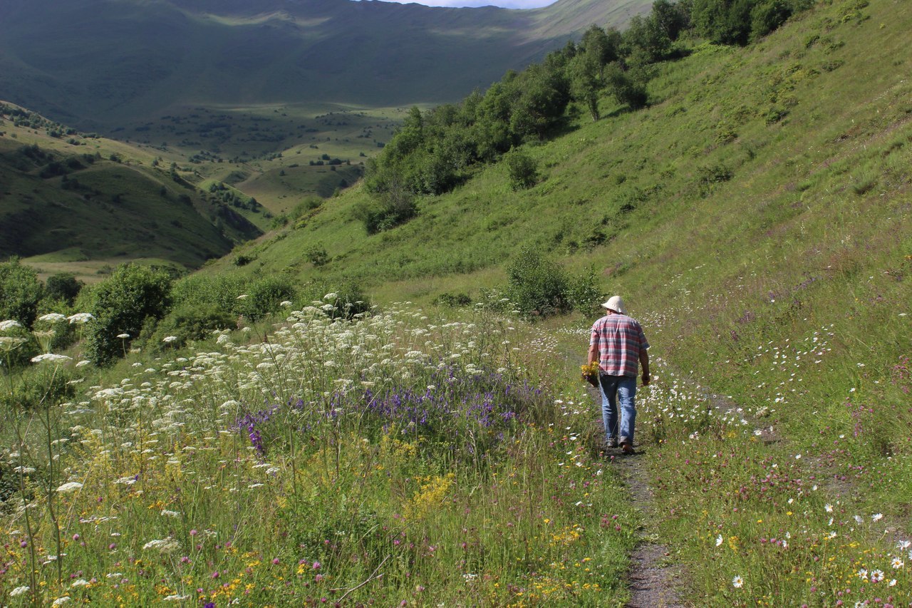 с. Даргавс.Северная Осетия — Алания - 6