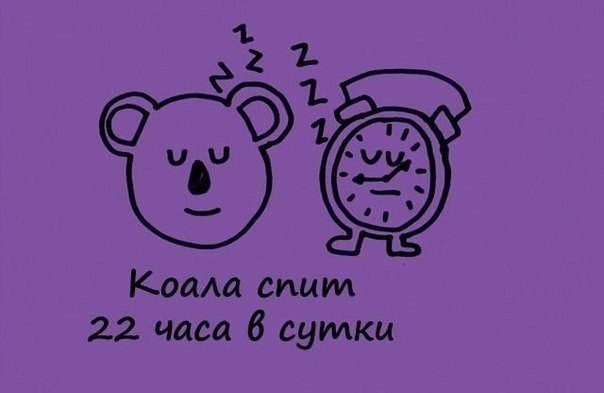 Занимательные факты в картинках - 7