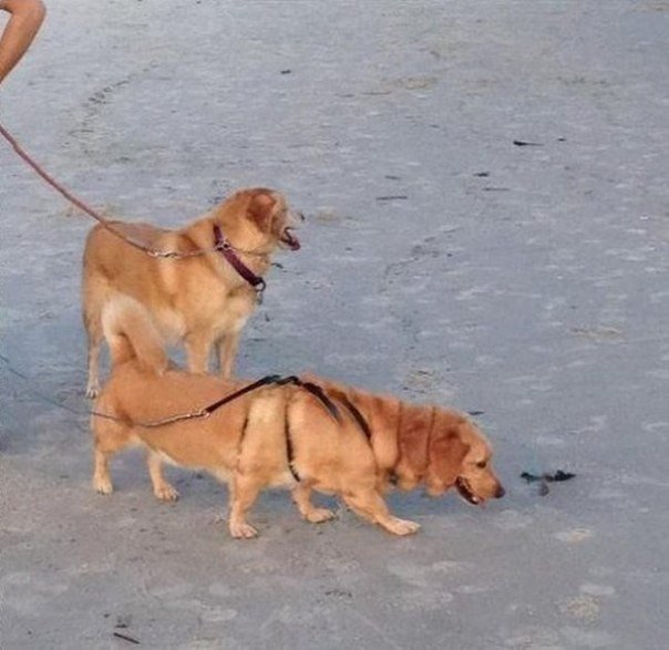 Панорамы, где все пошло не так