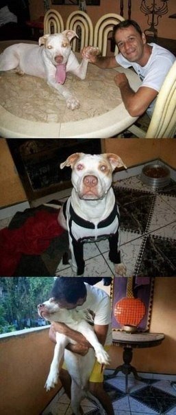 Любите животных! Ведь они не могут сами о себе позаботиться - 8