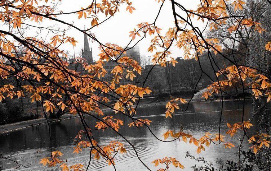 Дюссельдорф, Германия - 6