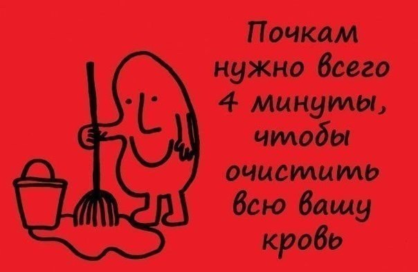 Занимательные факты в картинках - 5