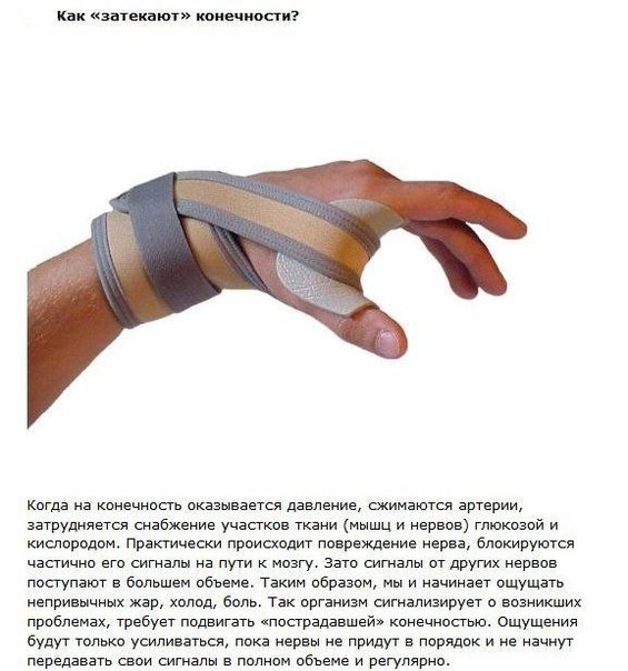 Интересные факты про известные мифы - 6