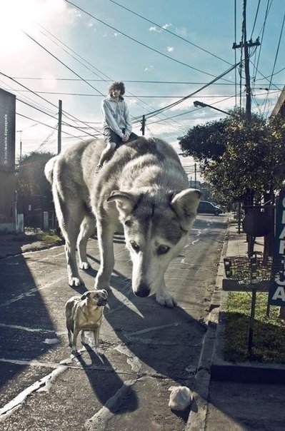 Галлюциногенный фотошоп . Жутко талантливые фотоманипуляции Мартина Де Паскаля. Одновременно и отталкивают, и притягивают - 5