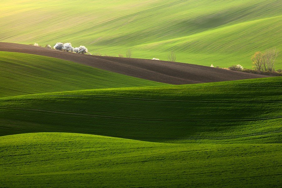 Невероятно холмистые поля Моравии - 5