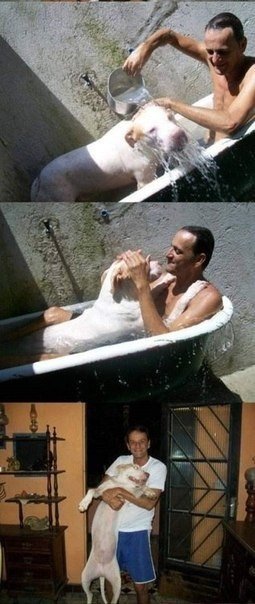 Любите животных! Ведь они не могут сами о себе позаботиться - 7