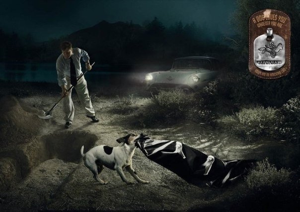 Потрясающая реклама приюта для животных: "Собака будет вас любить, кем бы вы ни были. Приютите одну"