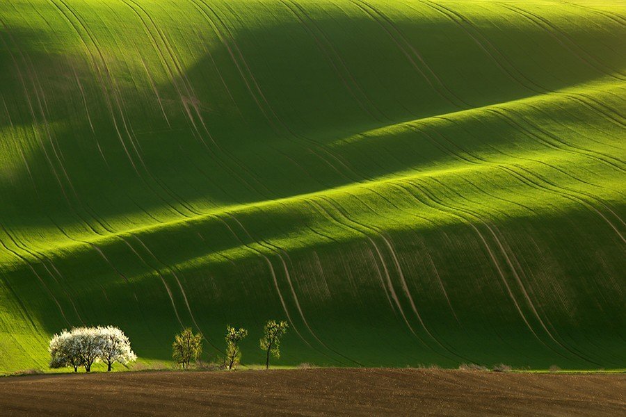 Невероятно холмистые поля Моравии