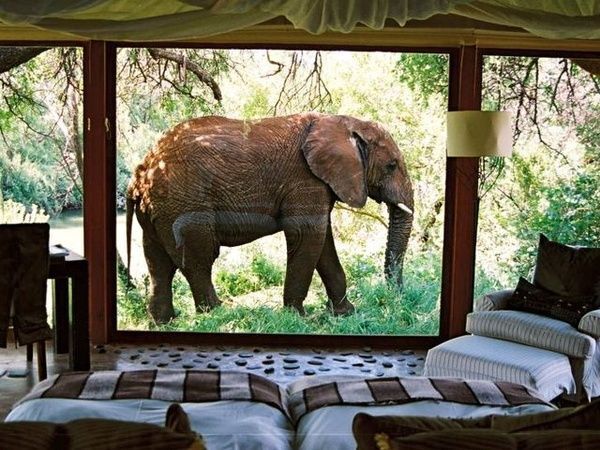 Самое невероятное пробуждение. Южная Африка