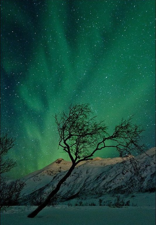 Такое холодное небо над Швецией - 6