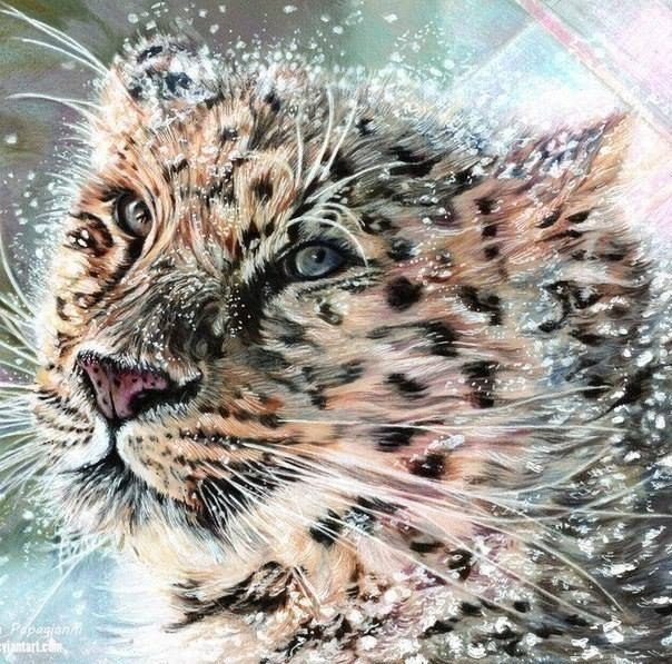 Рисунки цветными карандашами - 5