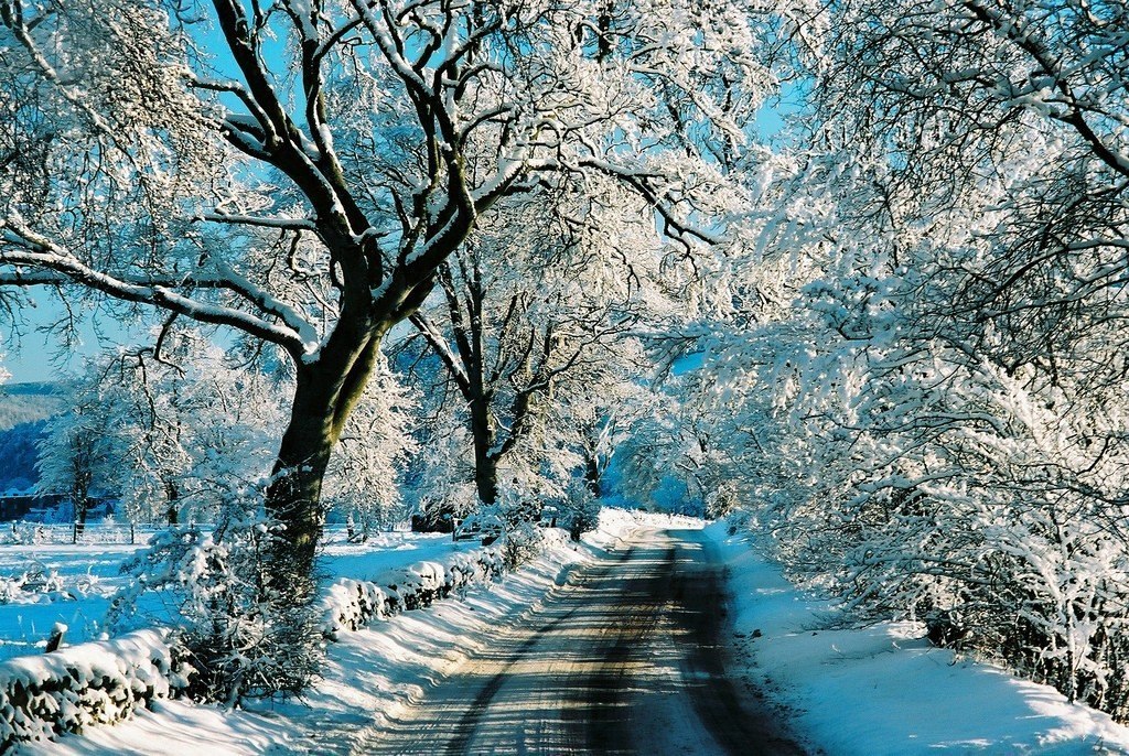 Снежная Шотландия