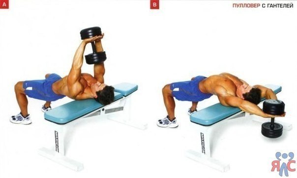 Как быстро накачать грудные мышцы. Тройной удар!<br>Забери на стену, ЭТО НЕЛЬЗЯ потерять!. Наука изобрела сенсационный метод накачки грудных.. [club34048613|Читать статью полностью.. ]