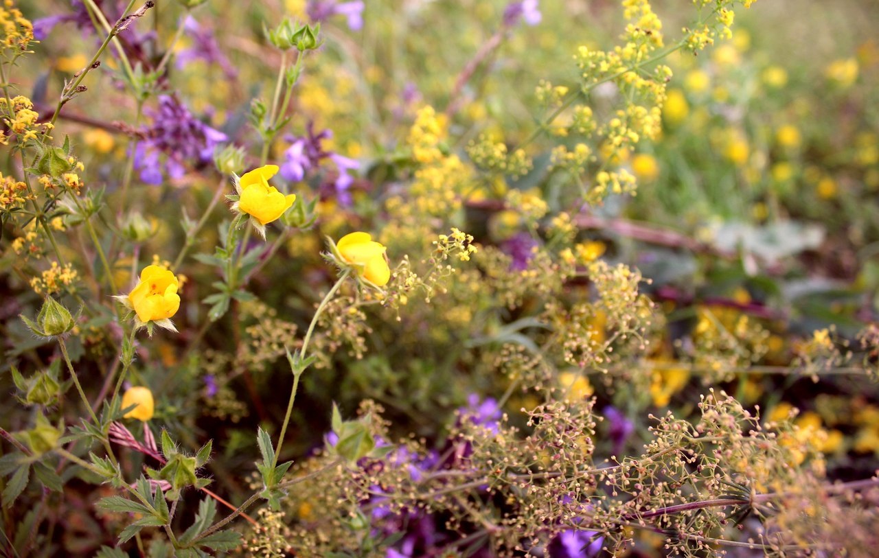 с. Даргавс.Северная Осетия — Алания - 7