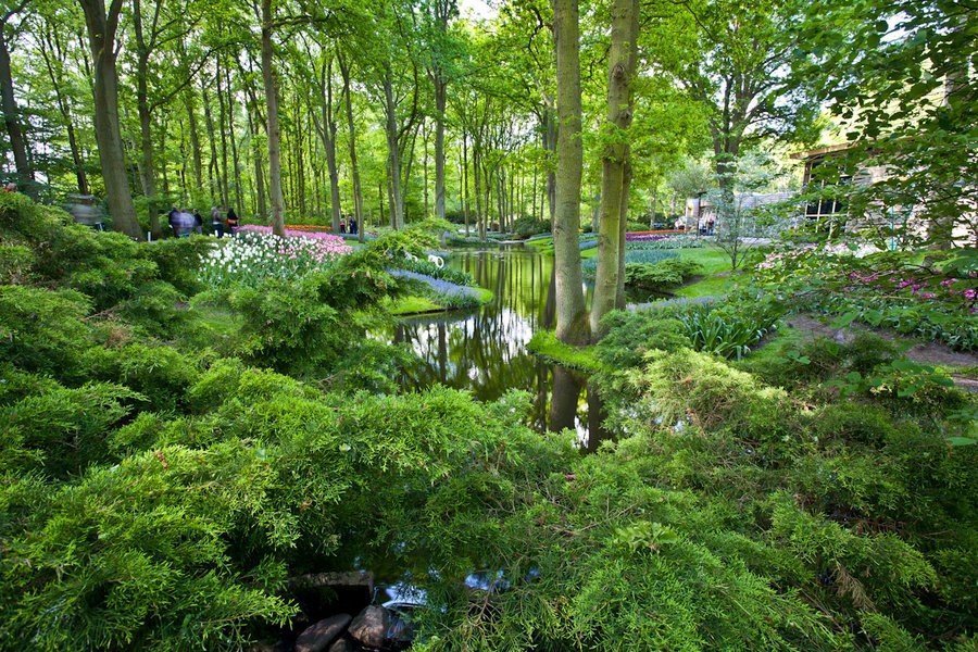 Парк цветов Кёкенхоф, Нидерланды - 7