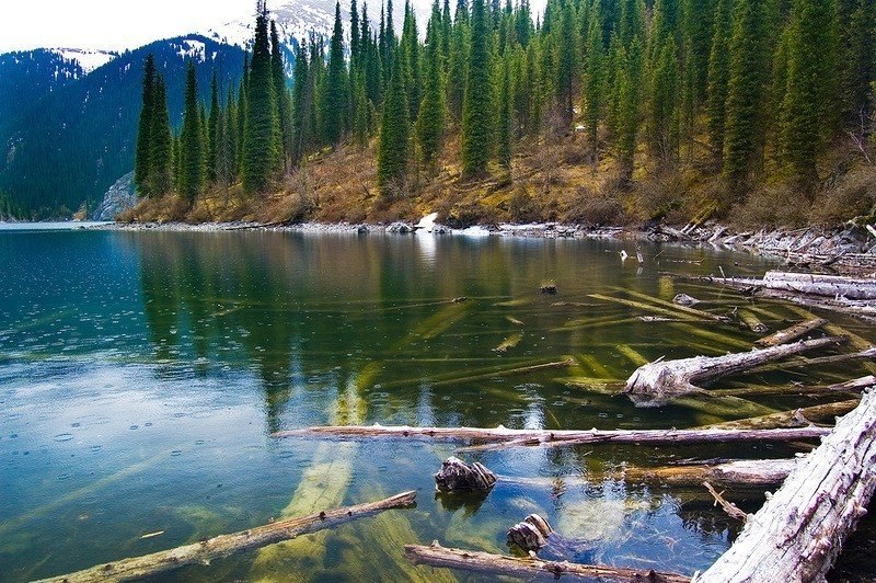 Озеро Каинды - затонувший лес в Казахстане - 5