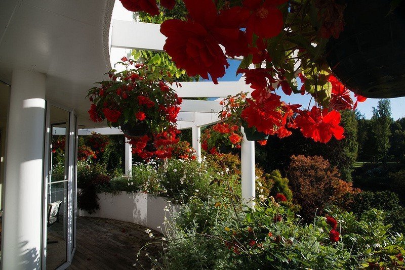 Восхитительный сад Maple Glen в Новой Зеландии - 9