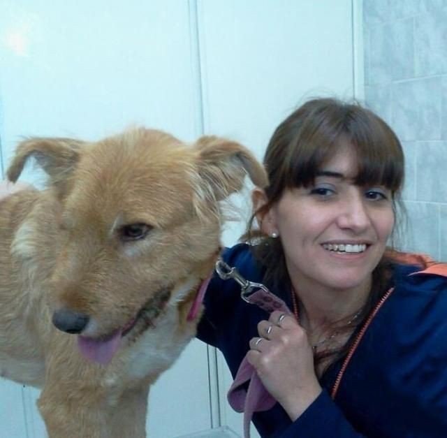 Девушка не смогла пройти мимо несчастного животного, тем самым подарив ему жизнь - 5