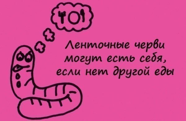 Занимательные факты в картинках - 6