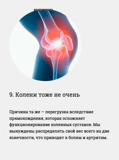 Инженерные ошибки человеческого организма - 8