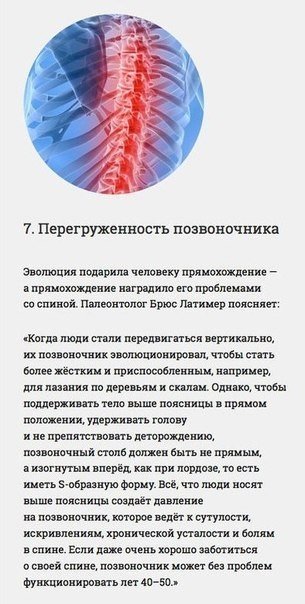 Инженерные ошибки человеческого организма - 6