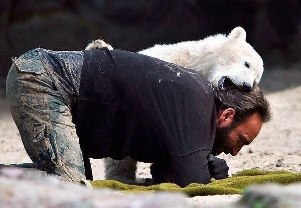 Медвежонок Кнут и его друг