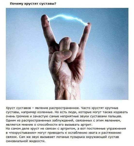 Интересные факты про известные мифы - 8