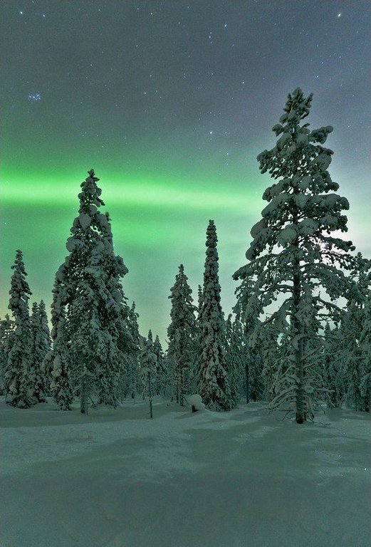 Такое холодное небо над Швецией - 5