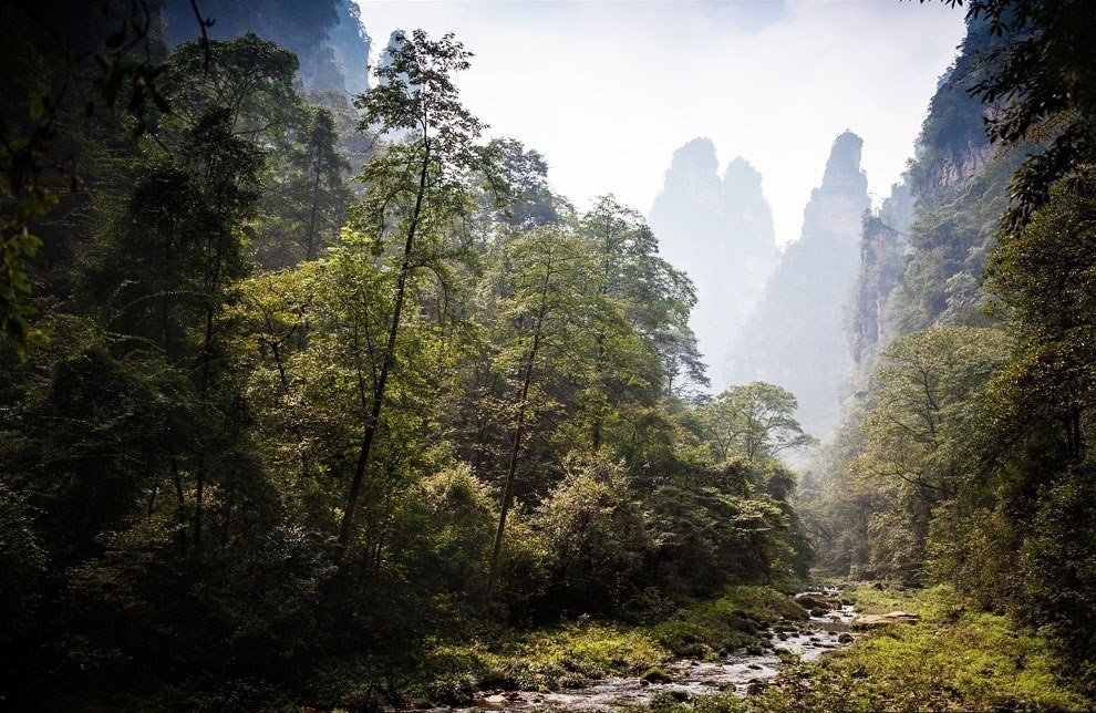 Национальный парк Чжанцзяцзе, Китай