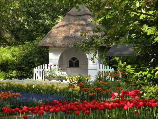 Парк цветов Кёкенхоф, Нидерланды - 6