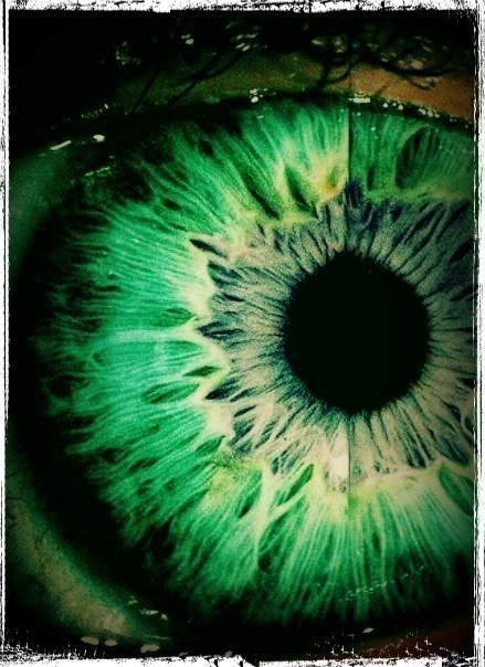 Самый редкий цвет глаз – зеленый. Всего 2% населения Земли имеют зеленые глаза