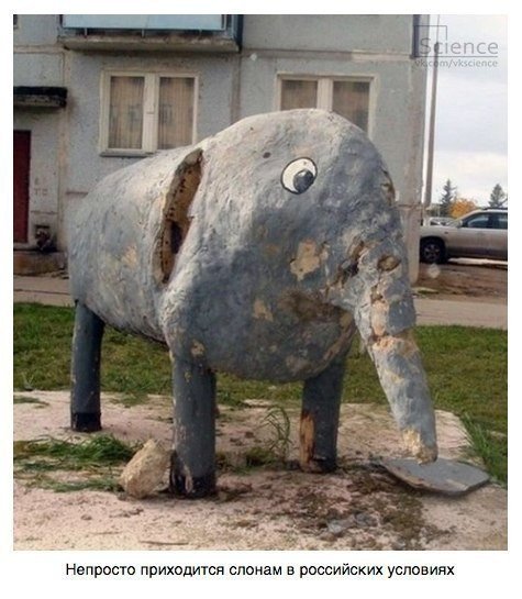 Психоделические детские площадки со всех уголков России. Почти в каждом дворе красуются странные скульптурные композиции, созданные неизвестными умельцами по заказу работников ЖКХ. Чаще всего это персонажи мультиков и сказок, по причине крайне скудного бю