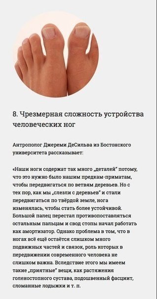 Инженерные ошибки человеческого организма - 7