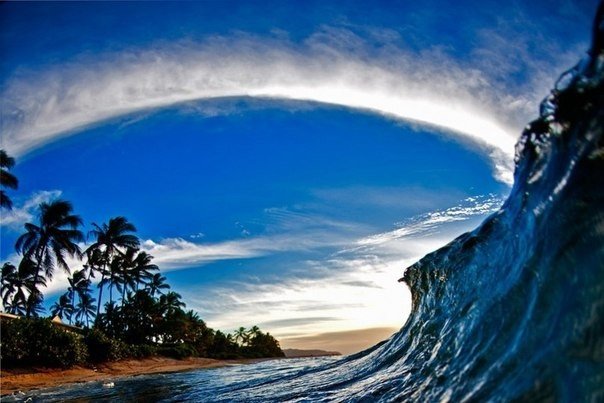 Лови волну!. Гавайские волны от фотографа Кларка Литтла