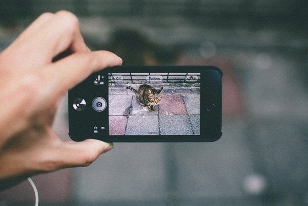 Урбанистические пейзажи на экране iPhone от Сэма Элайва - 5