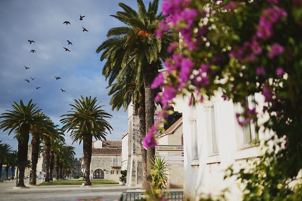 Цветущая Хорватия!