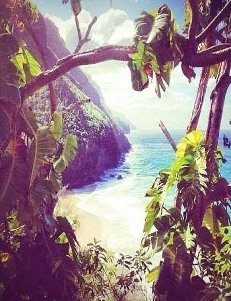 Жизнь тем и интересна, что в ней сны могут стать явью