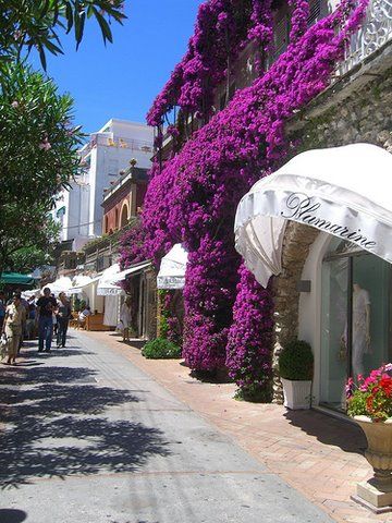 Ця прекрасна Італія! - 5