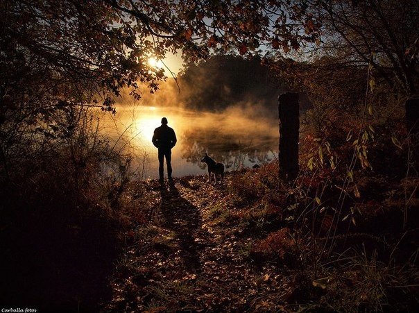 Мистические испанские леса в фотографиях Гильермо Карбальо - 5